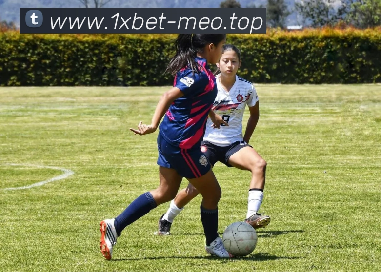 1xbet官网品牌故事